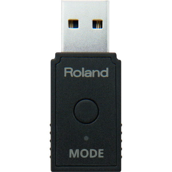 Roland WM-1D - Imagen 3
