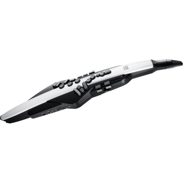 Roland Aerophone AE-20 - Imagen 1
