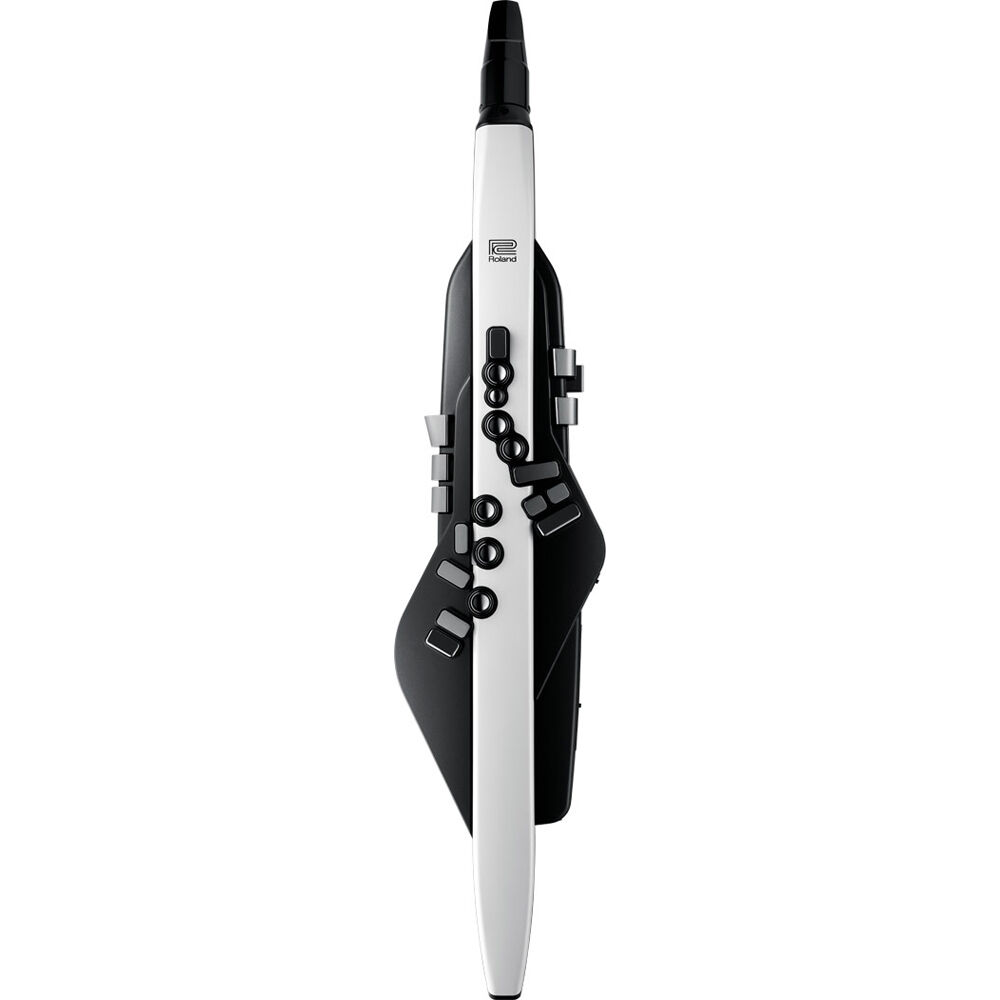 1646830029_IMG_1710655.jpg Roland Aerophone AE-20 - Imagen 2
