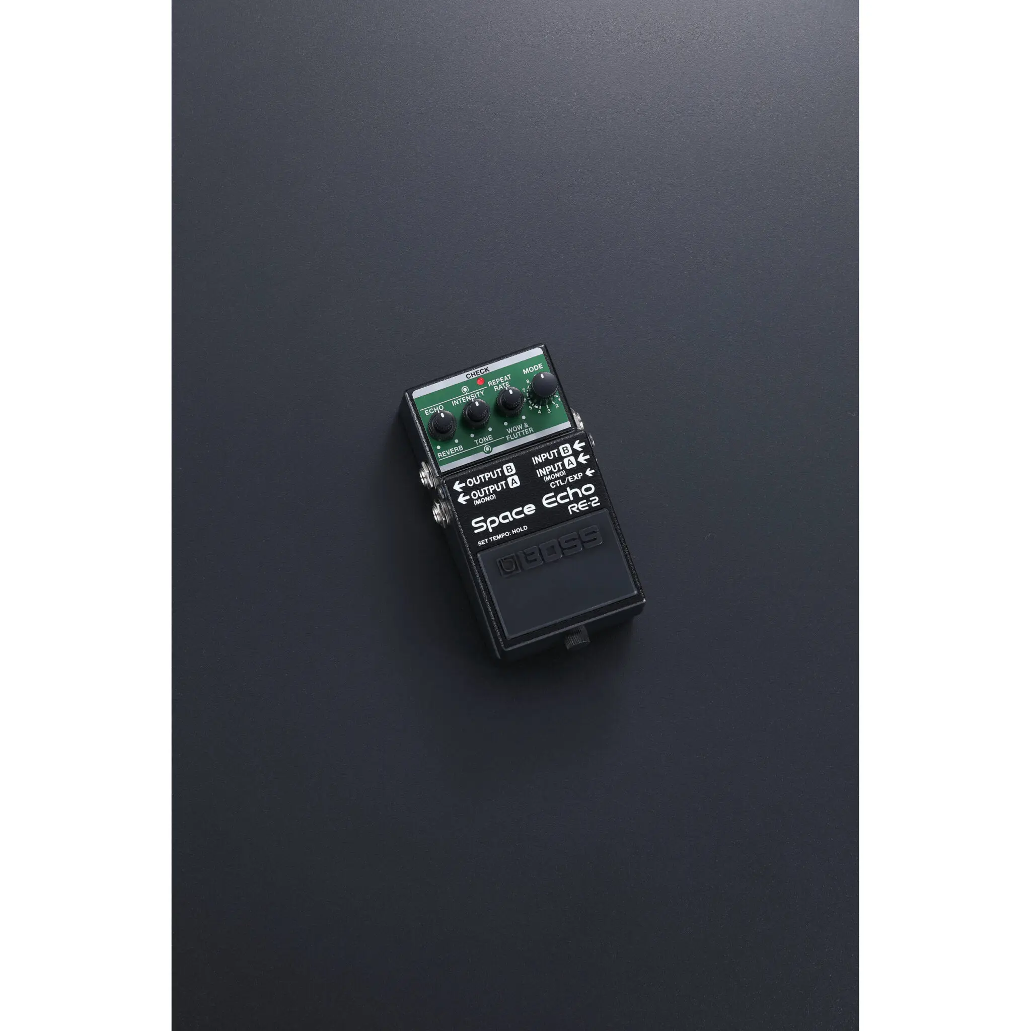 Boss RE-2 Space Echo Delay/Reverb - Imagen 5