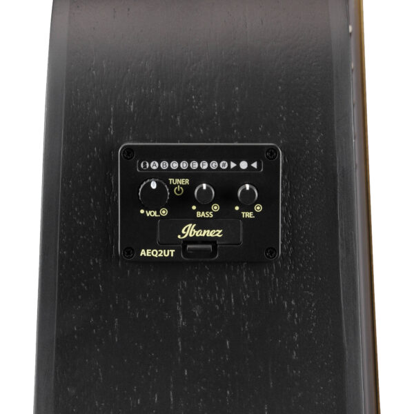 Ibanez ALT20-WK - Imagen 2