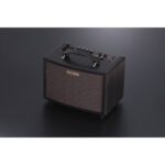 Boss AC-22LX - Imagen 5