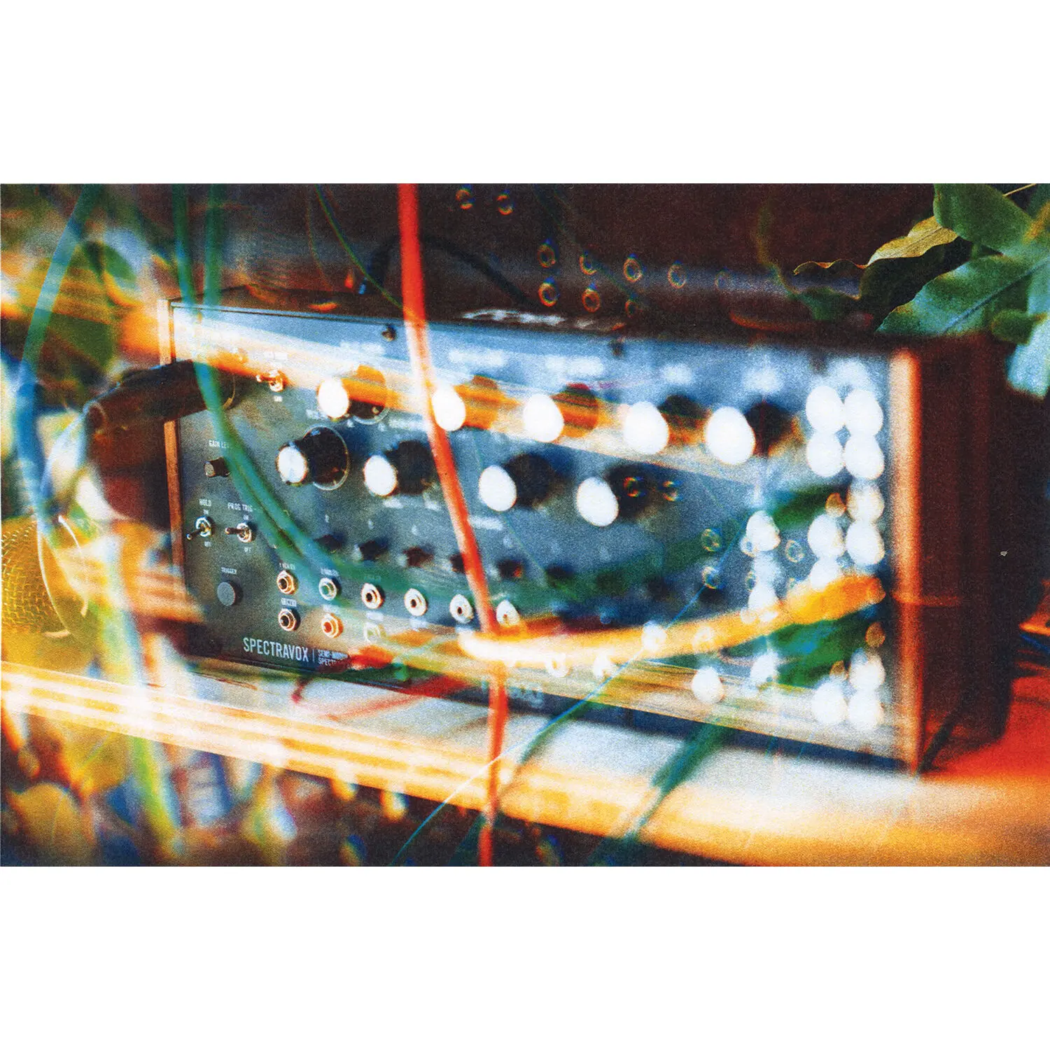 Moog Spectravox - Imagen 4