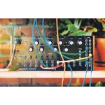 Moog Spectravox - Imagen 5