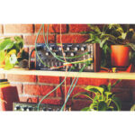 Moog Spectravox - Imagen 6