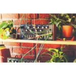 Moog Spectravox - Imagen 6