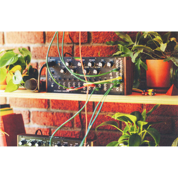 Moog Spectravox - Imagen 6