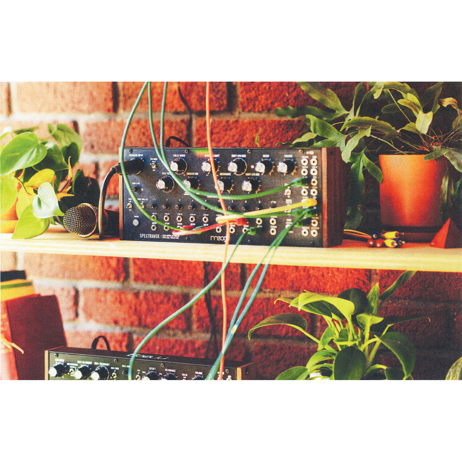 1715680916_IMG_2239799.jpg Moog Spectravox - Imagen 6