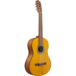 Ibanez GA3-OAM - Imagen 2
