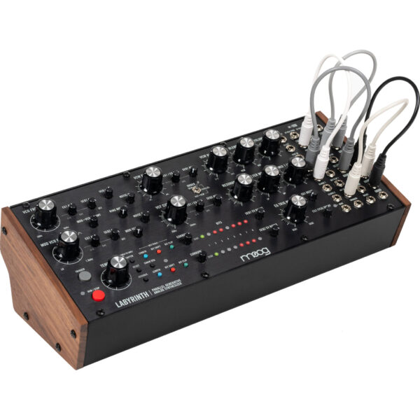 Moog Labyrinth - Imagen 2