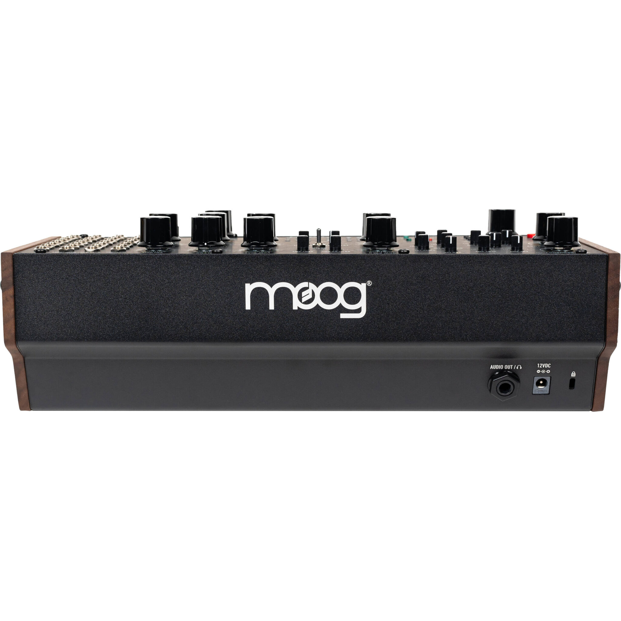 1720691163_IMG_2260932.jpg Moog Labyrinth - Imagen 7