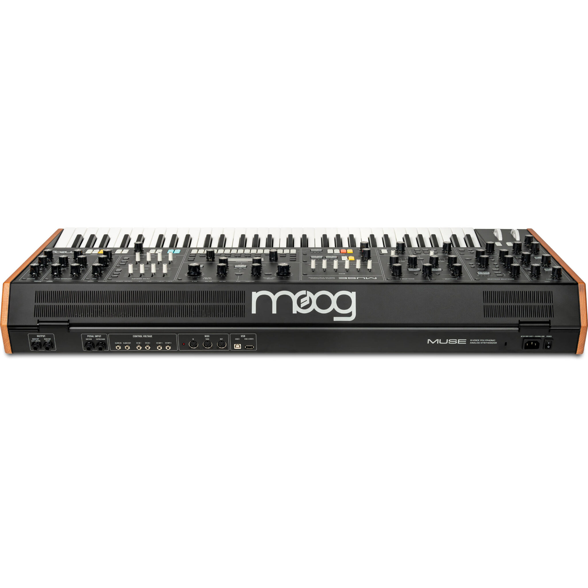 1722419158_IMG_2289829.jpg Moog Muse - Imagen 5