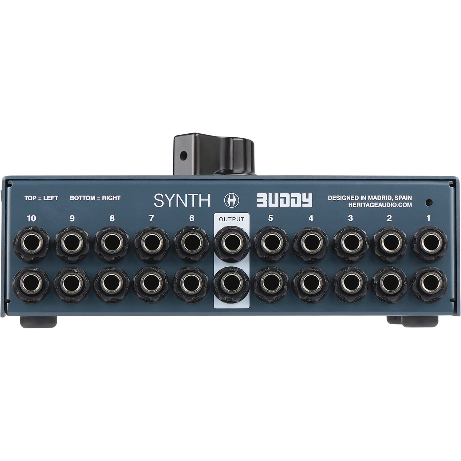 1736899154_IMG_2408009.jpg Heritage Audio Synth Buddy - Imagen 3