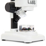 Microscopio estéreo CELESTRON LABS S20 - Imagen 7