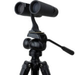 Prismáticos Celestron 10x42 Regal ED - Imagen 6