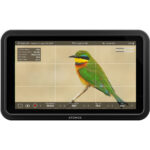 Monitor Atomos Shinobi II de 5,2" HDMI HDR - Imagen 7