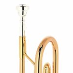 Yamaha YTR-5335 GII Bb- Trumpet - Imagen 9