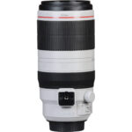Canon EF 100-400mm f/4.5-5.6L IS II USM Lens - Imagen 9