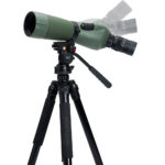 Telescopio terrestre Celestron Regal M2 65ED con ocular 16-48x (visión en ángulo) - Imagen 5