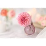 Canon RF 85mm f/1.4 L VCM Lens (Canon RF) - Imagen 12