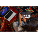 Akai Professional MPK Mini IV Controlador MIDI de 25 teclas (Negro) - Imagen 5