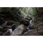 Canon RF-S 18-150mm f/3.5-6.3 IS STM Lens - Imagen 10