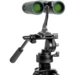 Prismáticos Celestron 10x32 Nature DX - Imagen 7