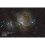 Celestron Advanced VX 6" f/2.2 Telescopio astrógrafo Rowe-Ackermann Schmidt - Imagen 10