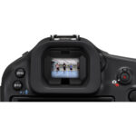Canon EOS R1 Mirrorless Camera - Imagen 2