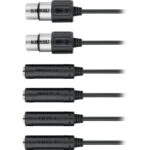 Apogee Electronics Duet 3 Kit de interfaz de audio USB tipo C ultracompacto 2x4 con base de escritorio - Imagen 10