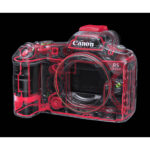 Canon EOS R5 Mark II Mirrorless Camera with 24-105mm f/4 Lens - Imagen 12