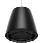 Bose Professional DesignMax DM10P-Sub 300W 10" subwoofer pasivo (negro) - Imagen 5
