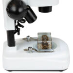 Microscopio estéreo en ángulo CELESTRON LABS S20A - Imagen 9