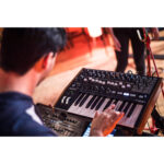 Arturia MiniBrute 2 Sintetizador analógico monofónico semimodular con Patchbay de 48 puntos - Imagen 6