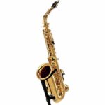 Yamaha YAS-480 Alto Sax Set - Imagen 2