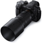 Panasonic Leica DG Vario-Elmarit 50-200mm f/2.8-4 ASPH. ENERGÍA O.I.S. Lente - Imagen 15