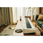 Casio Privia PX-S1100 Piano digital de 88 teclas con parlantes incorporados (blanco) - Imagen 10