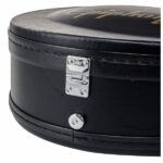 Epiphone Wildkat Case - Imagen 12