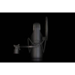 Aston Microphones Paquete de micrófono dinámico de diafragma grande Aston Element Active - Imagen 8