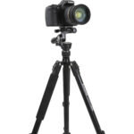 Trípode compacto Celestron Hummingbird con cabezal giratorio/inclinable - Imagen 8