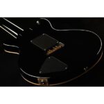 PRS Santana Retro FW - Imagen 12