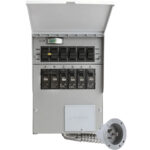 Interruptor de transferencia EcoFlow 306A1 (125 V, 60 A)