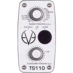 Eve Audio TS110 ThunderStorm subwoofer activo de 10" - Imagen 2