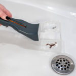 Herramienta Carson Humane Bug Catcher para captura y liberación de insectos - Imagen 10