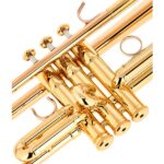 Yamaha YTR-5335 GII Trumpet Set - Imagen 5