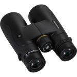 Prismáticos Celestron 12x50 Nature DX - Imagen 5