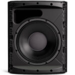Bose Professional DesignMax DM12S Altavoz coaxial pasivo de 2 vías para montaje en superficie de 12" (negro) - Imagen 7