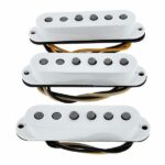 Fender Custom Texas Special Strat Set - Imagen 4