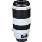 Canon EF 100-400mm f/4.5-5.6L IS II USM Lens - Imagen 11