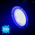 American DJ Encore LP5IP Heavy-Duty IP65 Outdoor-Rated LED PAR (RGBL) - Imagen 6